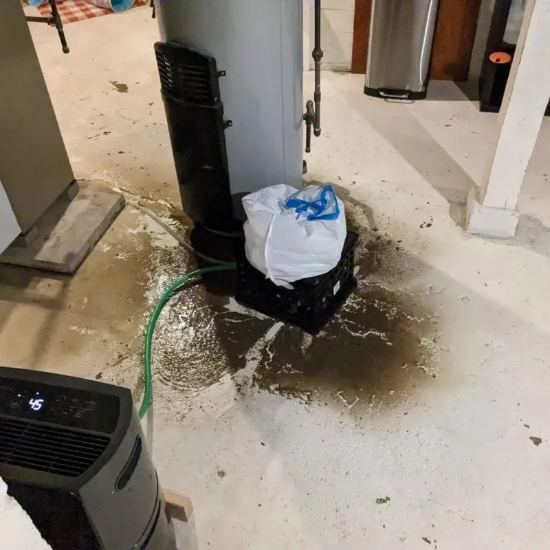 Sewage Backup Cleanup Service in Turpin Hills, OH